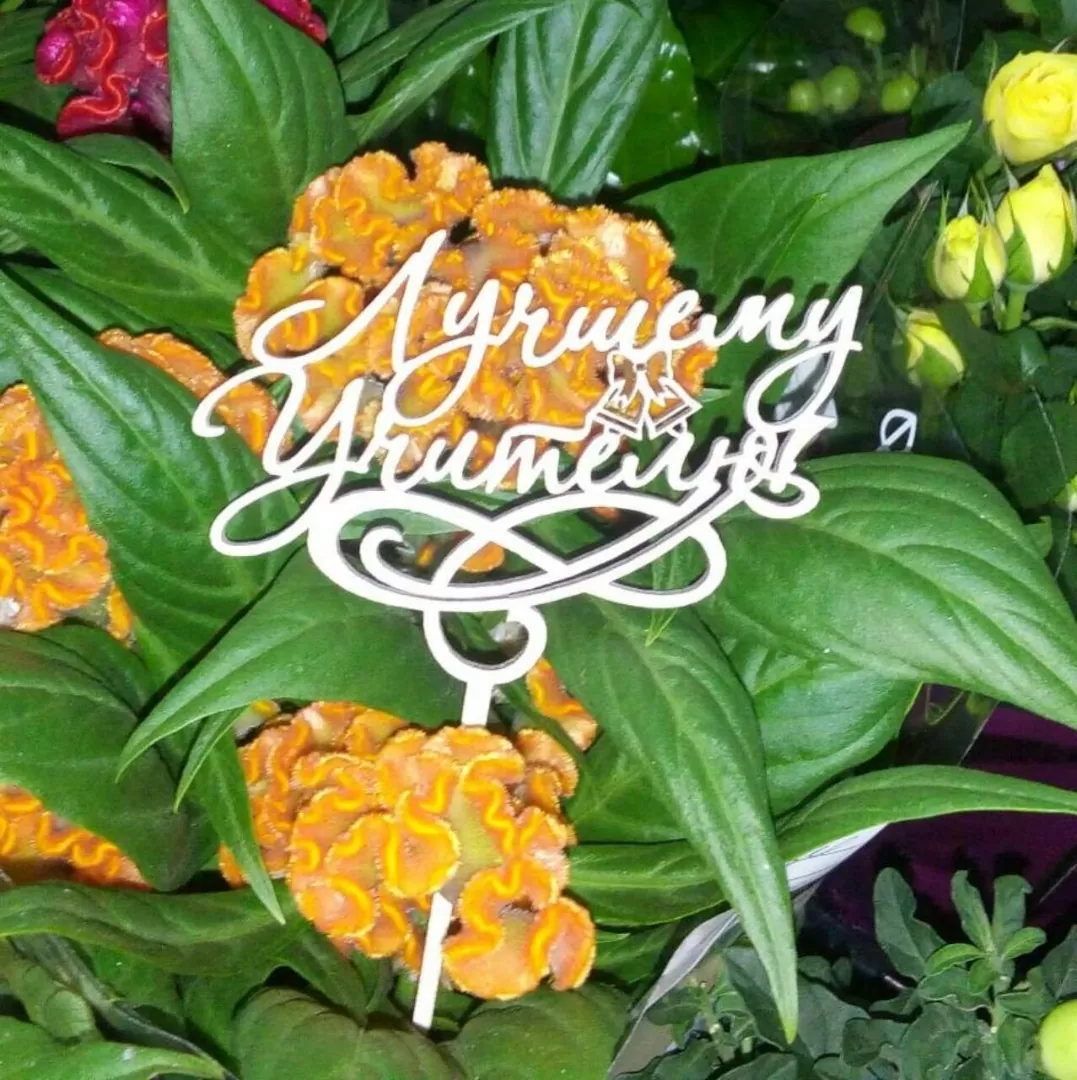 Топпер в цветы “Лучшему учителю”